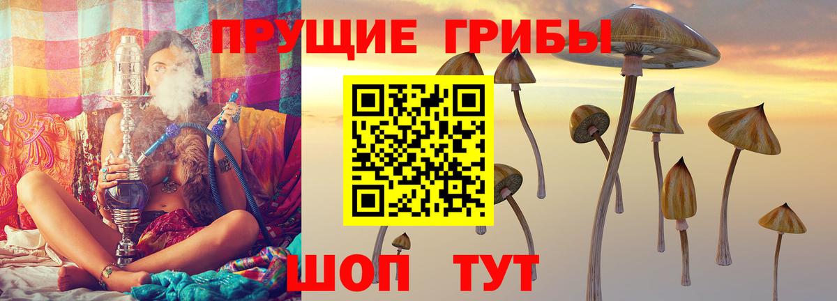 закладки  Вход с VPN  Урай  Псилоцибиновые грибы MAGIC MUSHROOMS 